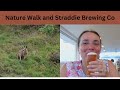 Wildlife Walk in North Stradbroke Island and Trying all the Beers at Straddie Brewing Co