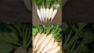 Radish Health benefits | रिकाम्या पोटी मुळा खाल्ल्याने काय होतं?  #radish #eathealthy