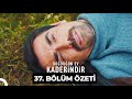 Doğduğun Ev Kaderindir 37. Bölüm Özeti