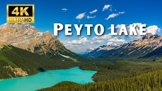 Peyto Lake, Canada 🇨🇦 in 4k Ultra Hd Scenic View