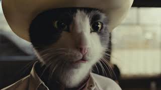 Rider - As the "Cat In White" for Clump  Seal™ AbsorbX™ Cat Litter from ARM  HAMMER™ TV Commercial