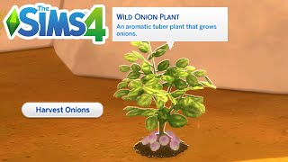 How To Find Onions (Harvest Onion, Location) - The Sims 4