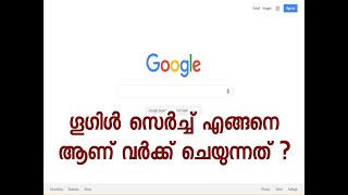 ഗൂഗിൾ സെർച്ച് എൻജിൻ എങ്ങനെ വർക്ക് ചെയ്യുന്നു ?