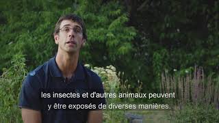 Bannir pour l'avenir | A propos de Neonics