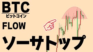 【仮想通貨ビットコイン/BTC,FLOW】すぐに30000ドル突破しますか？