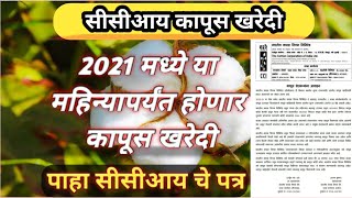 2021 च्या या महिन्यापर्यंय होणार सीसीआय ची कापूस खरेदी|सीसीआय कापूस खरेदी|cci kapus kharedi|cci|