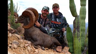 BOWHUNTING GIANT DESERT SHEEP! | L2H S09E07 \