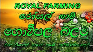 රෝයල් ෆාම් ගොවිපල බලමු