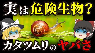 【ゆっくり解説】実は危険生物？カタツムリやナメクジを安易に触ってはいけない理由