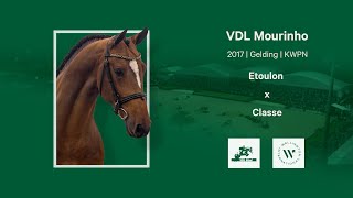 VDL Mourinho, gelding by Etoulon VDL born 2017