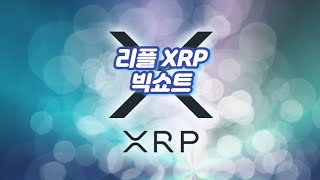 리플 XRP 빅쇼트