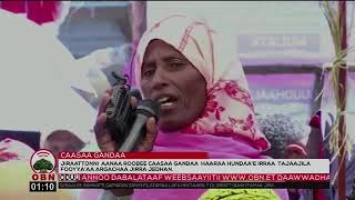 Marii Hawaasaa Koreen Dhaabbii Misooma Baadiyyaa Godina Arsii Aanaa Roobetti  taasise 19/2017