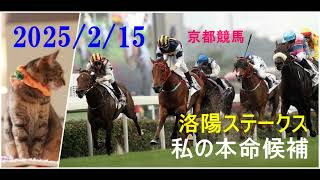 2025/2/15　京都競馬　洛陽ステークス　私の本命候補