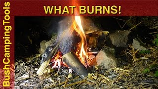 Bushcraft  Tips Highly Flammable Natural Materials.