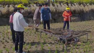 [농촌체험관광] 함양 지리산 마천 다락논축제 (밤굽기, 벼베기, 타작)등 Korean Traditional farming (baking chestnuts, rice cutting)