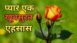 प्यार एक खूबसूरत एहसास | Love Poetry In Hindi | Love Shayari | Heart Touching Love Quotes |