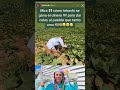 6ix9ine working on farm in Cuba this is amazing