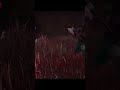 WHEN THE LAST SURVIVOR ESCAPES ON YOU USING THE HATCH | Dead By Daylight Dunny Moments #shorts