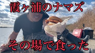 【釣り】霞ヶ浦のアメリカナマズを釣ってその場で食べる!!〜実食編〜【野食】【特定外来生物】