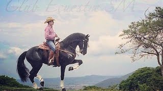 FUERTE jim / Caballo PRE  / Alta Escuela Y Baile - Club Ecuestre - SM