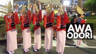 Awa Odori Japan's Biggest Dance Festival | Japan Vlog 21 | Lin Nyunt