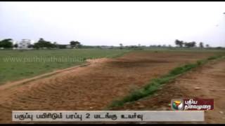 Pulses acreage doubled in Rabi Sowing