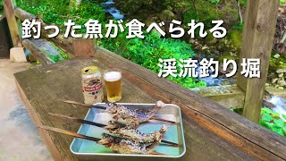 【渓流釣り堀】長野県高橋渓流Mountain stream Fishing pond in Nagano Japan