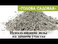 Голова садовая - Использование золы на дачном участке