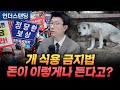 개 식용 금지, 정부 돈이 이렇게나 든다고? (언더스탠딩 백종훈 기자)