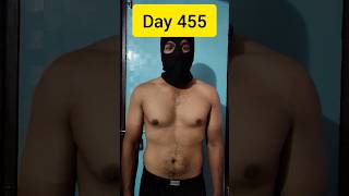 Day 455