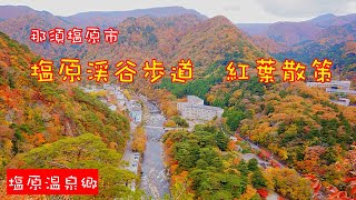 【那須塩原市】4K 塩原渓谷歩道　紅葉散策 #紅葉  #那須塩原市  #散策