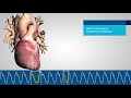 nellcor pm1000n bedside respiratory patient monitoring system overview