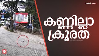 കൊച്ചിയിൽ നവജാത ശിശുവിനെ എറിഞ്ഞു കൊന്നു | BABYDEATH | KOCHI