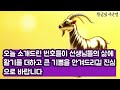 양띠로또번호 로또 1156회 예상번호 이 번호 금전운이 좋습니다ㅣ1월 25일 양띠 로또 운세 로또행운번호 로또 당첨 예상번호 공개 양띠 운세