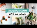 DIY Air Plant decoration for Small spaces