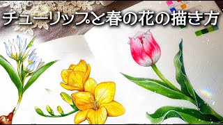 🌷Paint with me🌷How to draw tulips/Painting tutorials for beginners/Watercolor making/Cozy Art Vlog