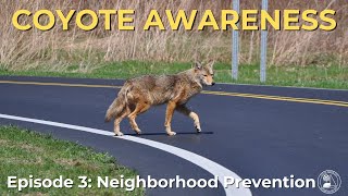 Neighborhood Prevention | Coyote Awareness Episode 3