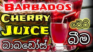 කොක් වගේ රසවත් බාබඩෝස් චෙරි බීම | Delicious Barbados cherry drink like ckoke