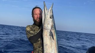 100’s of Wahoo | Bluewater Spearfishing At Its Very Best