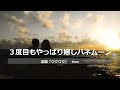 【投稿川柳】2022年10月9日 日 の投稿よりピックアップ