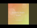 Memory inside Storm