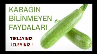 KABAĞIN  SAKIZ KABAĞININ HİÇ BİLİNMEYEN MUCİZEVİ İNANILMAZ FAYDALARI !!!