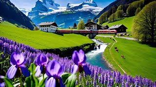 🇨🇭 🌸LAUTERBRUNNEN VALLEY | MOUNTAIN VILLAGE GIMMELWALD | PARADISE | SWITZERLAND