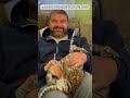 a man came across a lost tiger cub and brought it home tiger babytiger short