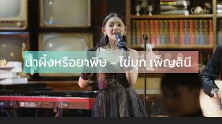 น้ำผึ้งหรือยาพิษ - ผู้หญิง [COVER VERSION ไข่มุกเพ็ญสินี]