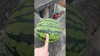 Experiment: Will a watermelon or pineapple explode if it rolls down from a tall building?#shorts