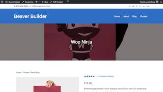 Customizing WooCommerce Product Pages With Beaver Themer