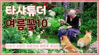 [타샤가 사랑한 여름꽃 TOP10] 타샤튜더 여름정원 주인공 총집합!