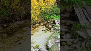 Святой источник в селе Шопино, Белгородская область. Holy spring in the village of Shopino, Belgorod