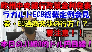 欧州中央銀行政策金利発表後のラガルドECB総裁定例会見に要注意！投資TUBE・投資顧問アイリンクインベストメント・FX